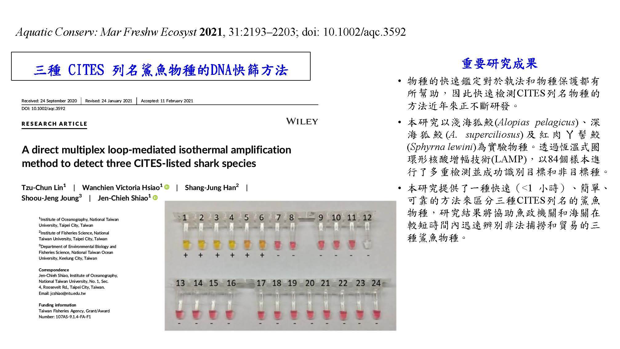 三種CITES列名鯊魚物種的DNA快篩方法